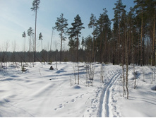 DSCN4848.JPG
