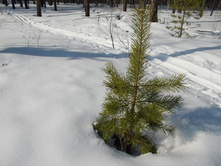 DSCN4850.JPG