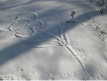 DSCN4851.JPG