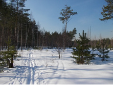 DSCN4853.JPG