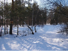 DSCN4854.JPG