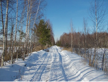 DSCN4856.JPG