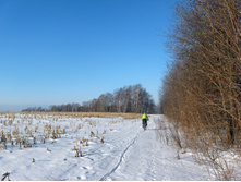 IMG_2600.JPG