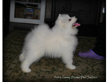 DSCN1591.jpg