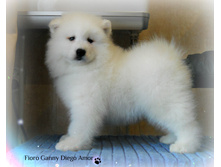DSCN151411.jpg