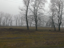 IMAG1325.jpg