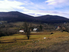 IMAG1353.jpg