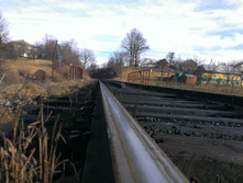 IMAG1356.jpg