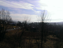 IMAG1361.jpg