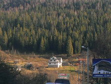 IMAG1390.jpg