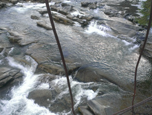 IMAG1393.jpg