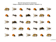 Vesna-22.png