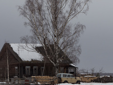 IMG_2450.jpg