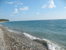 IMG_7984.JPG