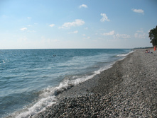 IMG_7985.JPG