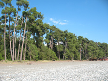 IMG_7991.JPG