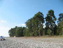 IMG_7992.JPG