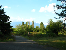 IMG_8008.JPG