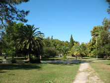 IMG_8053.JPG