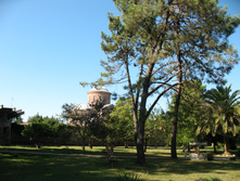 IMG_8054.JPG