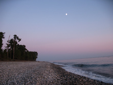 IMG_8123.JPG