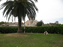 IMG_8334.JPG