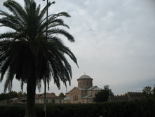 IMG_8335.JPG