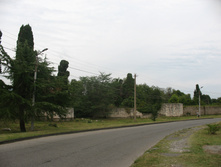 IMG_8341.JPG