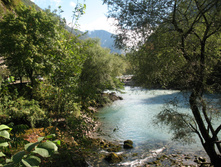IMG_8353.JPG