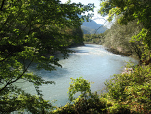 IMG_8374.JPG