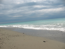 IMG_8493.JPG