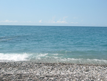 IMG_0004.JPG