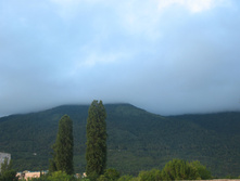 IMG_9879.JPG