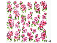 295_big_1313568125_resize.jpg