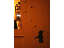 ����-0015_e1.jpg
