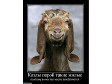 20111812080410.jpg