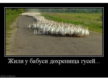 20111812080519.jpg