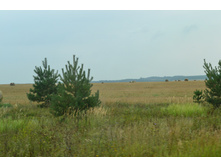 DSC_0027.JPG