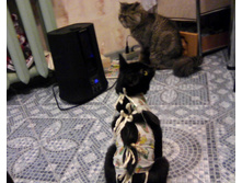 IMG0007A.jpg