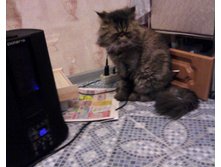 IMG0009A.jpg