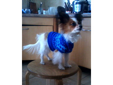 20140313_142756.jpg