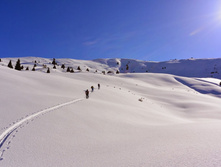 DSC_0897.JPG