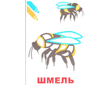 22RdwBElYbU.jpg