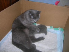 DSCN3443.JPG
