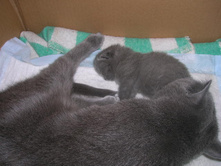 DSCN3439.JPG