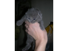 DSCN3440.JPG