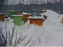 IMG0010A.jpg