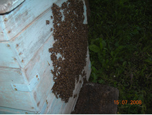 DSCN2310.JPG