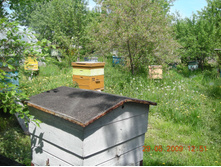 DSCN2568.JPG