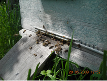 DSCN2571.JPG